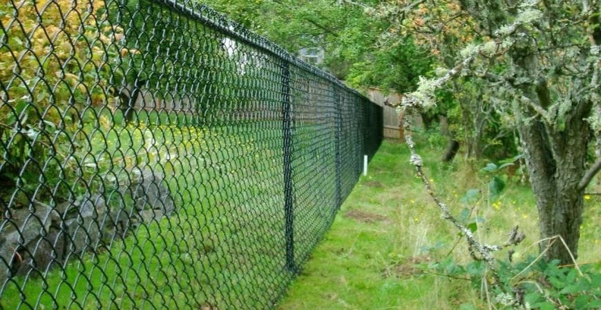Паркан із сітки-рабиці на приватній діляньці
